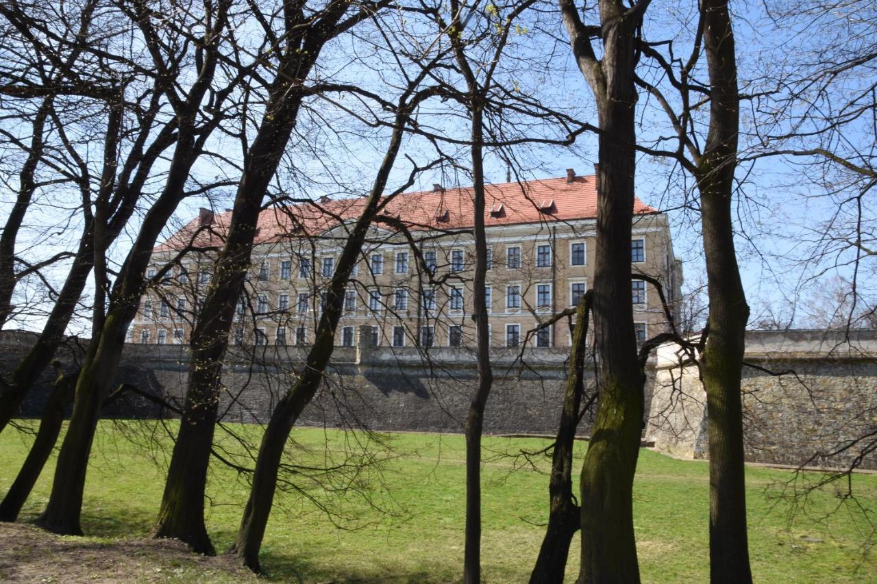 Apartament Nad Fontanna Rzeszów Exterior foto