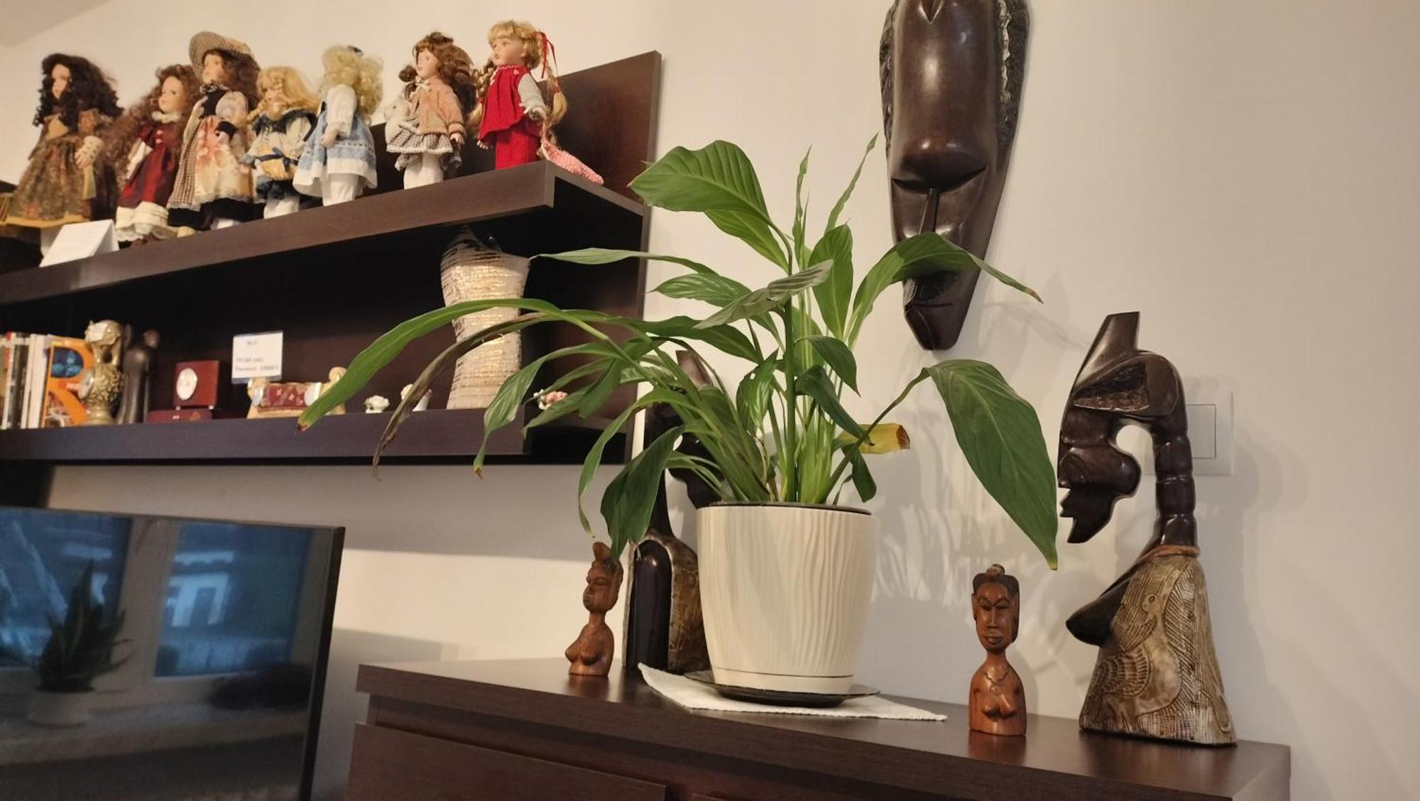 Apartament Nad Fontanna Rzeszów Cameră foto